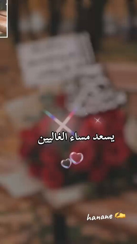 Ab leLEX4zRkT SU.jpg