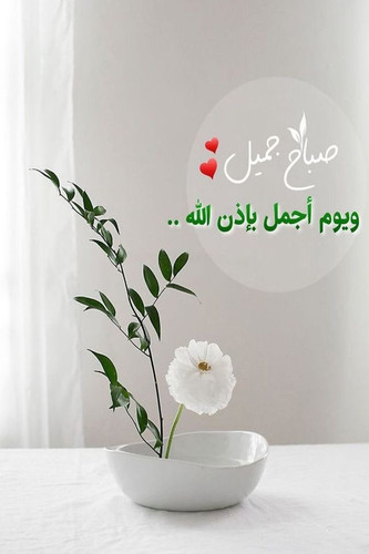 Gvss5hJXQAA37bL.jpg