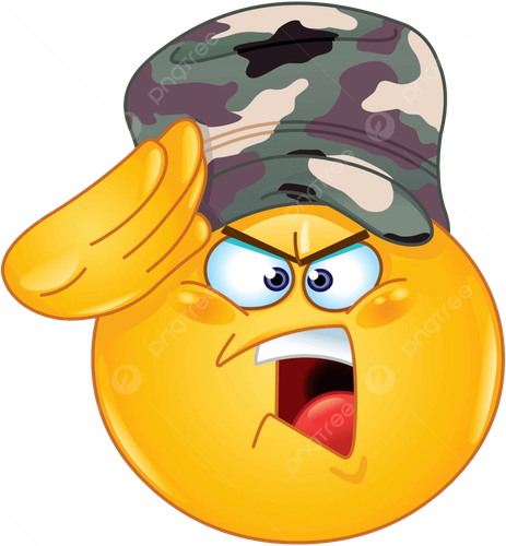 newbie.png