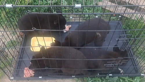 i Hrvjqw4LtjPVlX.jpg