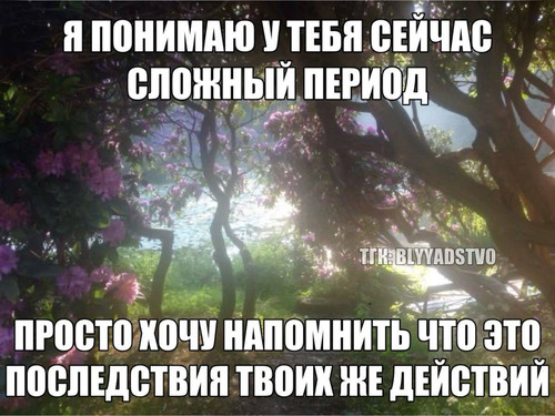 file 8867.jpg