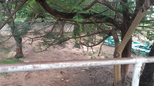 IMG 20250704 WA0020.jpg