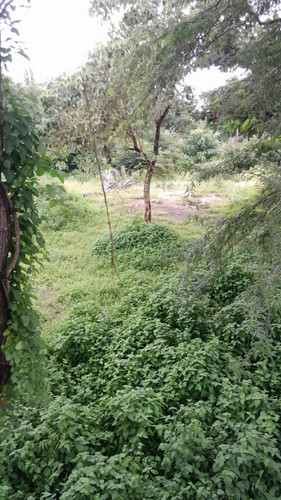 IMG 20250704 WA0026.jpg