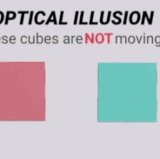 IMG 20250712 124428.gif