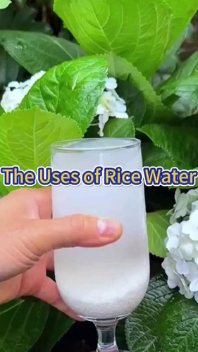 qgIgtWXmopZ3 vDc.jpg