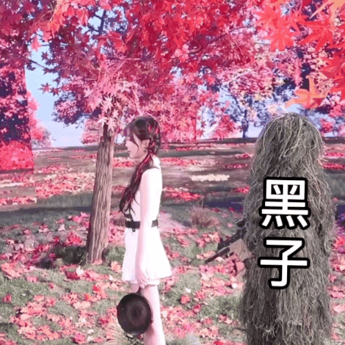 6AFE586D 13B8 4995 8E6F D5B1339FFD04.gif