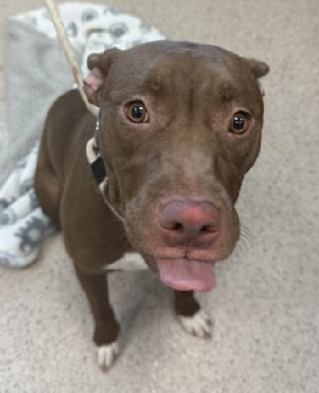 GuJKsXrbUAAbN k?format=png.png