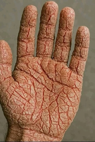 514359352 736811248941849 7896024554579928407 n