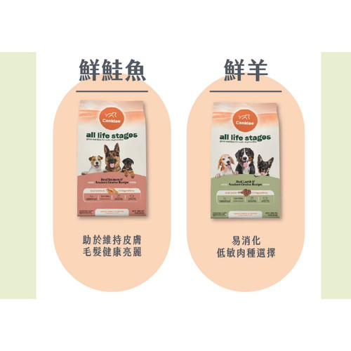 TP0000310 348774 03 WH 1200x1200px.jpg