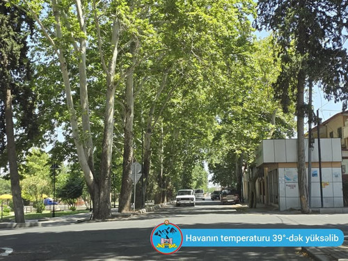 517936524 1188390473313674 5112751339079990310 n.jpg?stp=dst jpg s720x720 tt6& nc cat=100&ccb=1 7& n.jpg