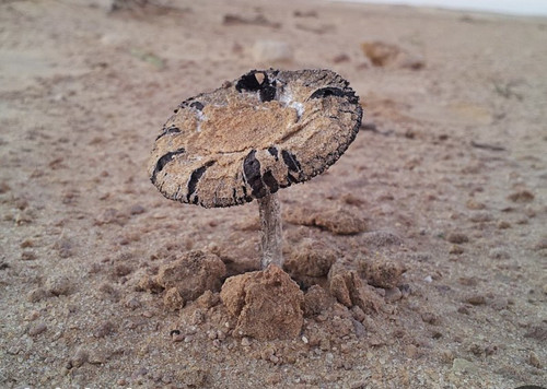 Gvj1Qn WEAALeOK?format=jpg.jpg