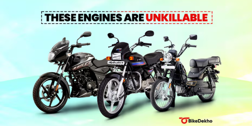 New Project (82).png