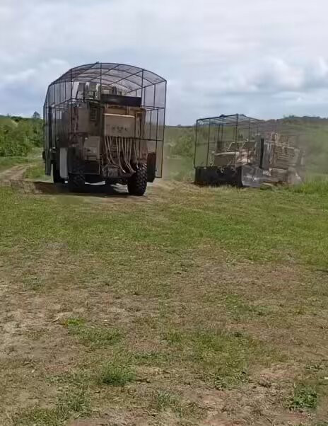 Q5YqNFm4q01b 0et.jpg