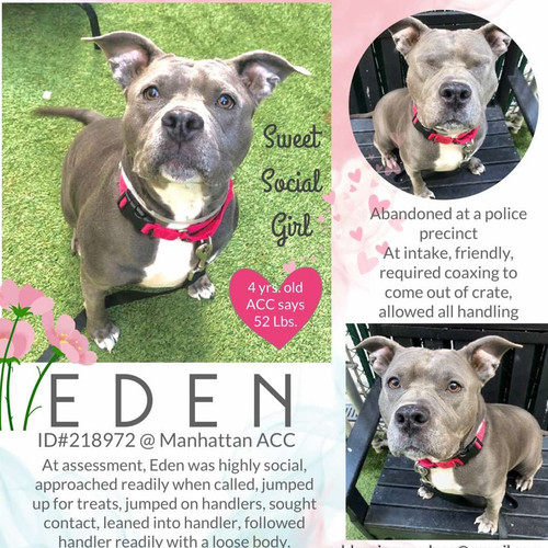 GvNp KlbsAArFnT?format=jpg.jpg