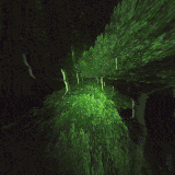 43760b6cf51d11662776934a38eb9974.gif