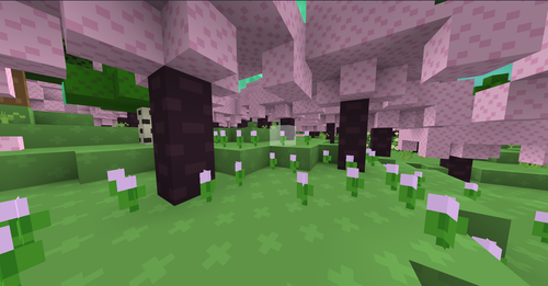 Screenshot 2025 07 13 010705.png