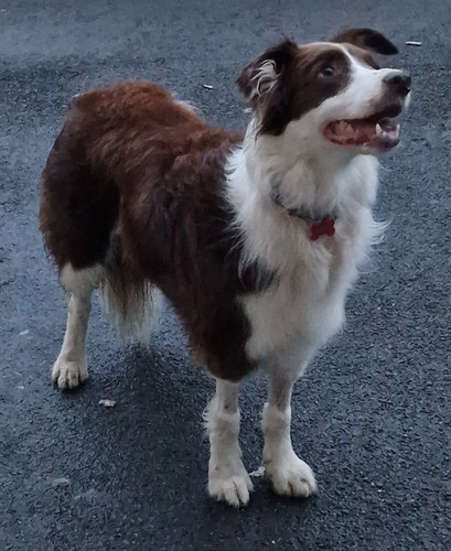 Gvmhl xXEAA6hGs?format=jpg.jpg