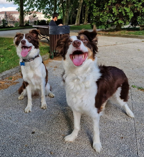 Gvtq GsWYAAhbCI?format=jpg.jpg