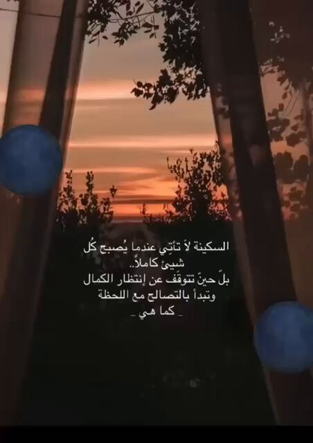 gEH6PXLr1yf93iLu.jpg