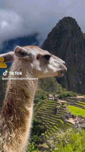 e V8tmAe10nWqAk9.jpg