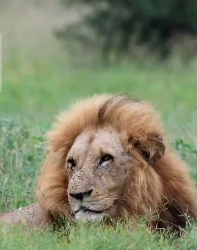 lrTDu S59wxjzg0c.jpg