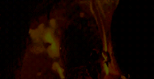 trailer sweat baremaidens.17.01.18.tanya.tate.and.cherie.deville.the.water.gif