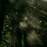 f782a4b5567ad269cdca988c4228ffaa.gif