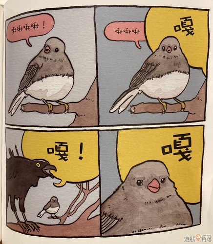 486433602 2674817199575354 6058700257971690415 n.jpg