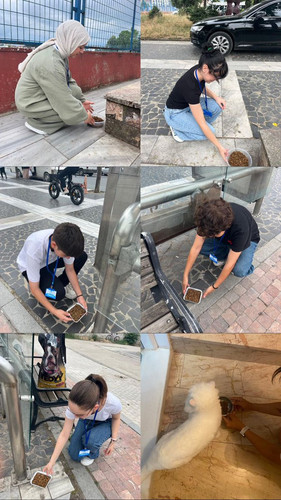 GvqGc0eXwAAoRCn.jpg