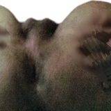 1000218618.png