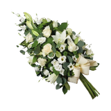 12 removebg preview.png