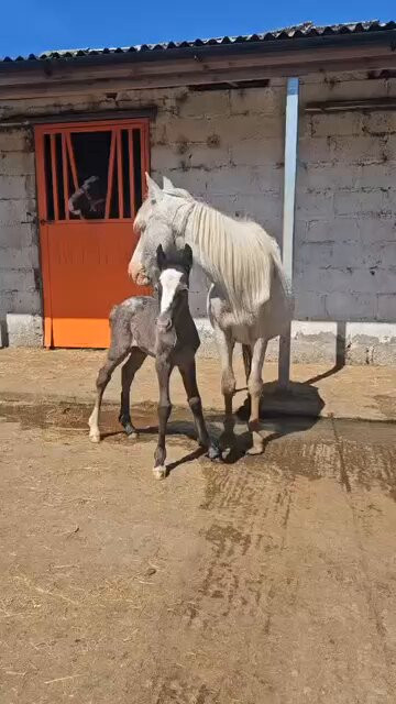 Lgy lUu a1hew 7g.jpg