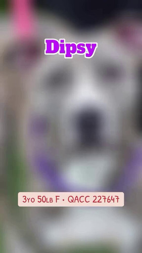 foQfAEAaCcSBCK4m.jpg
