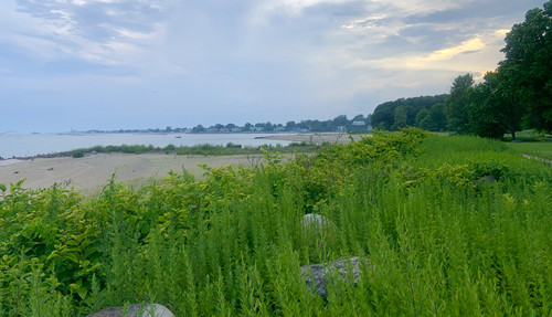 IMG 4655.jpg
