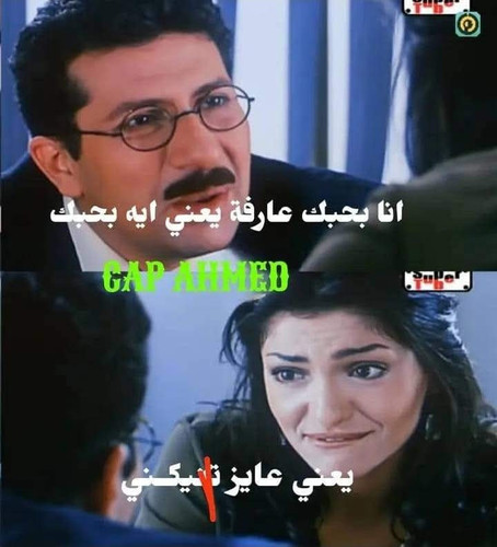 FMy9swl.md.jpg