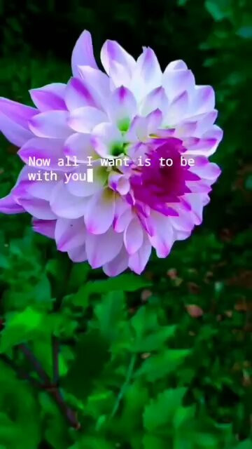 fSCuwPaMfxO Z9KE.jpg