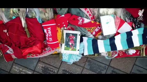 5hryRdNOc28S tfZ.jpg