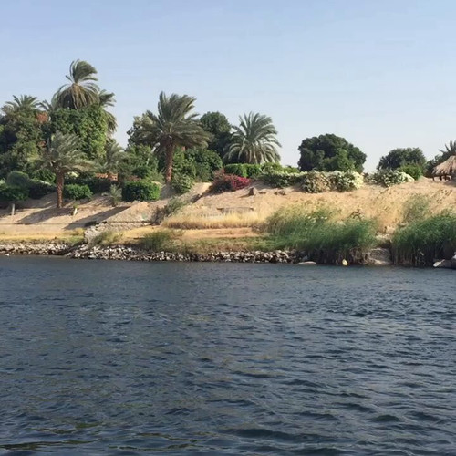 NrfTVg xu8RB7N T.jpg