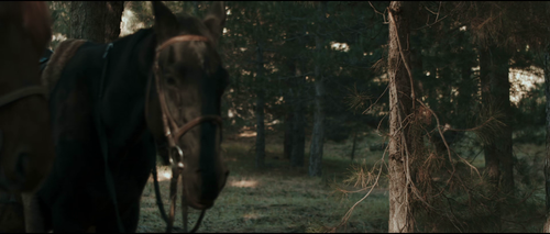 vlcsnap 2025 07 21 16h57m27s714