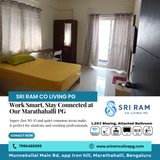 Looking for a work-friendly PG?