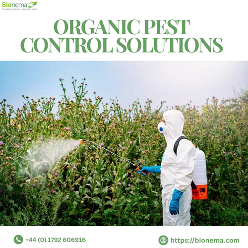 Effective Organic Pest Control Solutions for a Safer Home.png