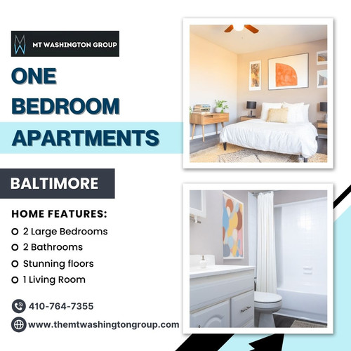 One Bedroom Apartments in Baltimore City.jpg