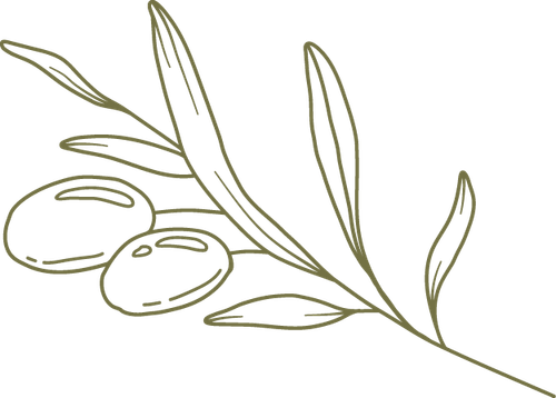 olive.png