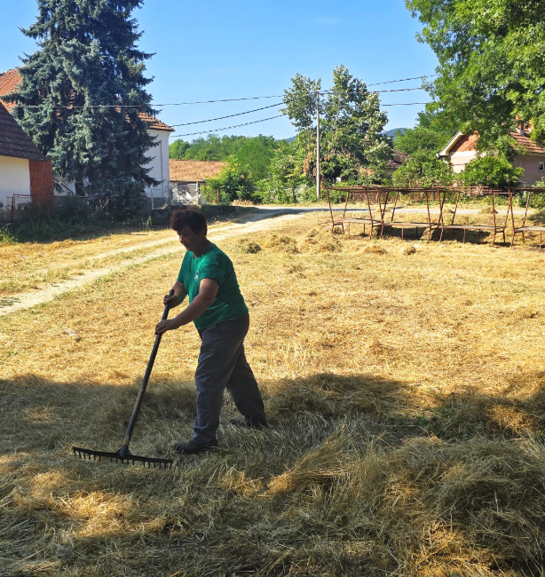 Košenje i krčenje nepoželjne vegetacije u Stragarima