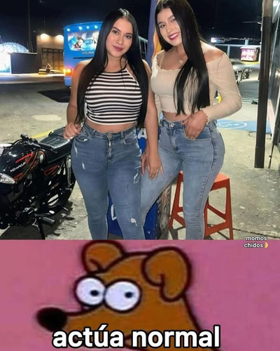 504835114 122226186434236010 4893357794510623578 n.jpg