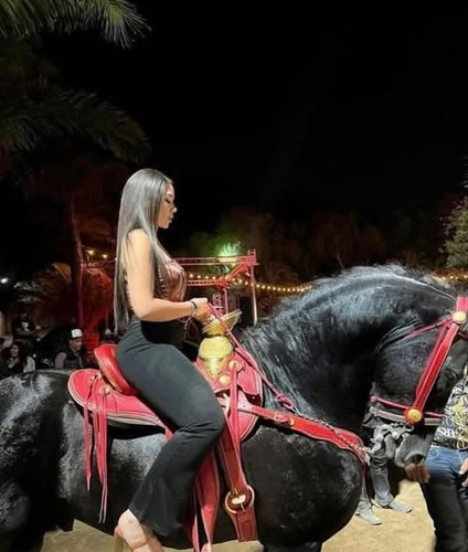 503447166 708612575455725 7159006870273284658 n.jpg