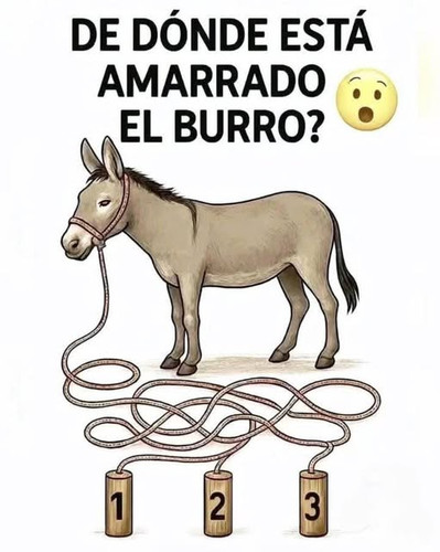 512653172 122123176130861366 1204652336175899729 n.jpg