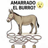 512653172 122123176130861366 1204652336175899729 n