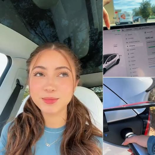 505967281 1246080320293652 3664576254942671648 n.jpg