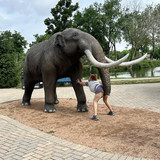 508540672 2190300798046250 4311085576706898784 n